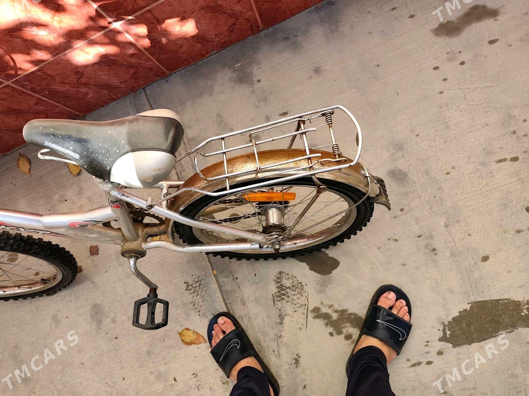 tigir - Änew - img 3