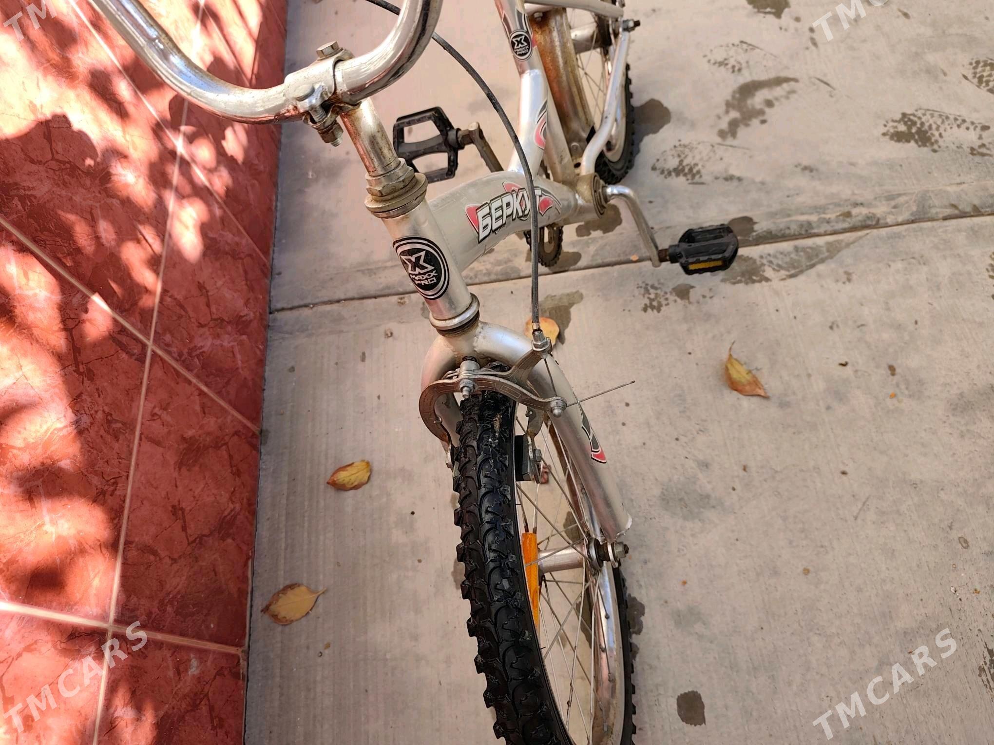 tigir - Änew - img 6