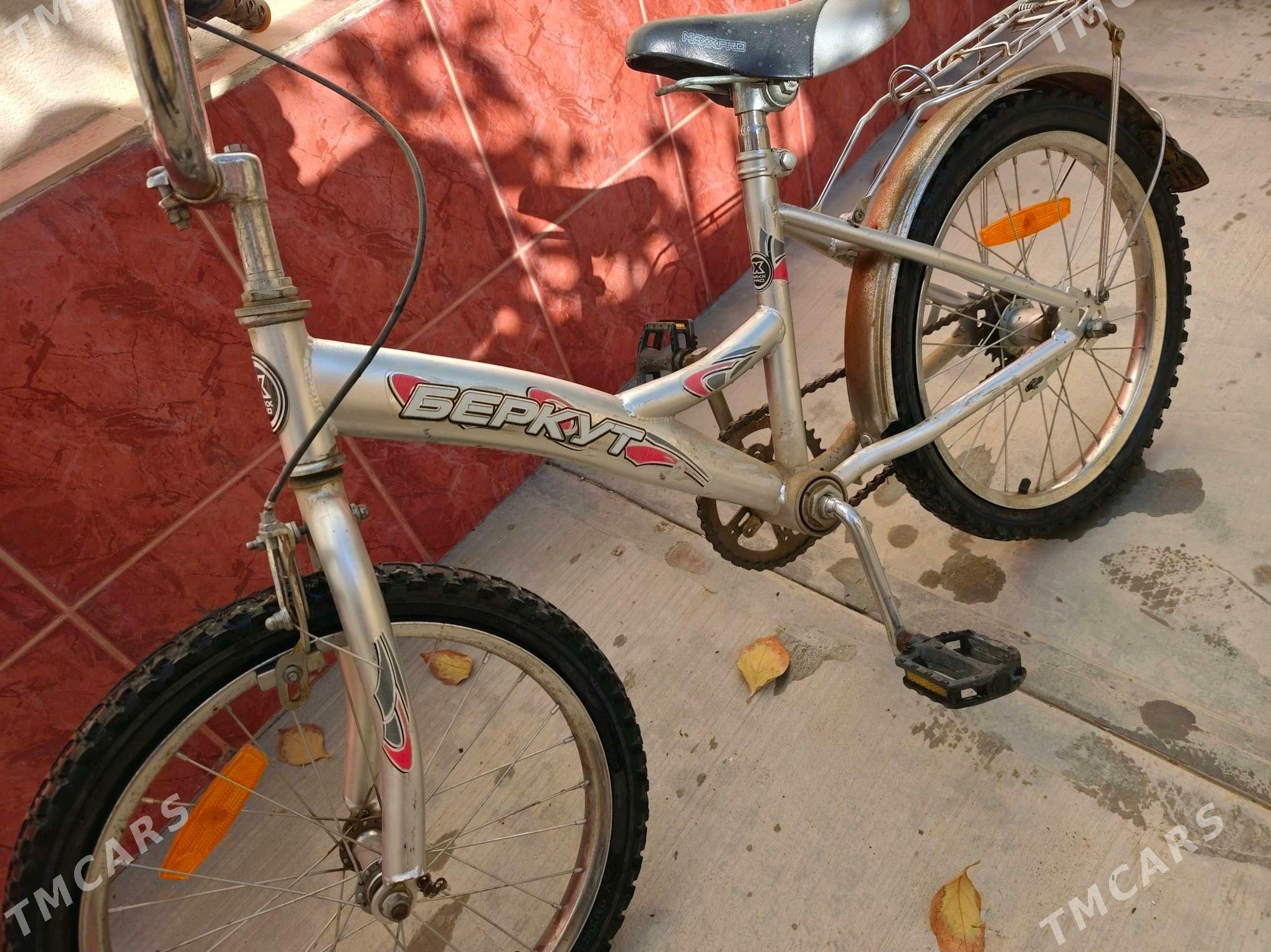 tigir - Änew - img 5