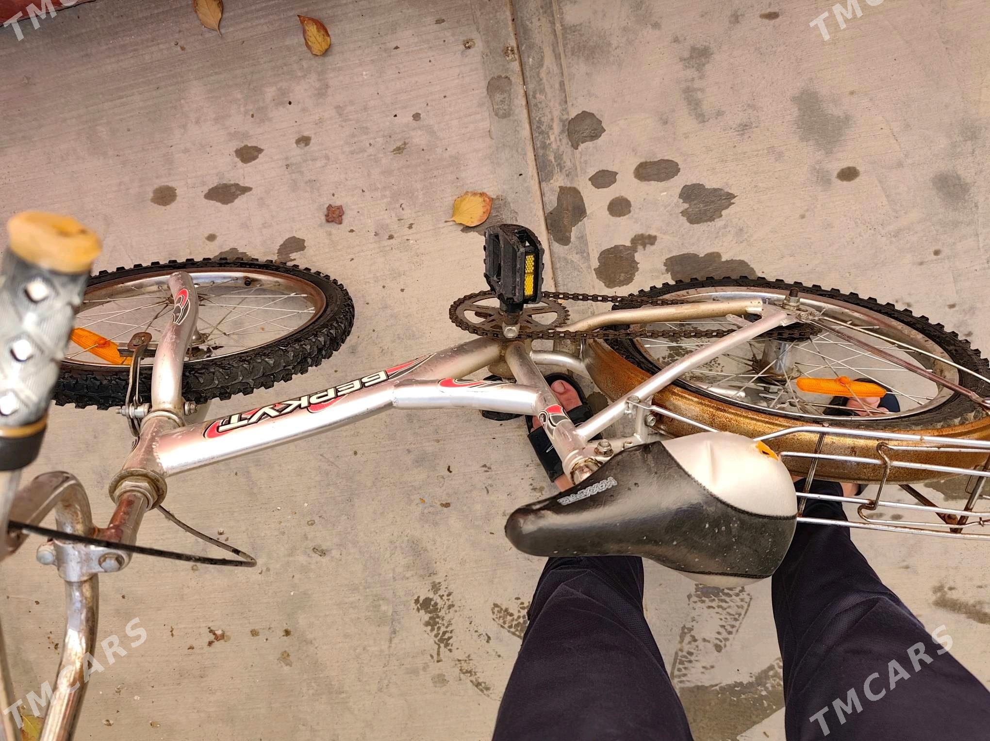 tigir - Änew - img 4