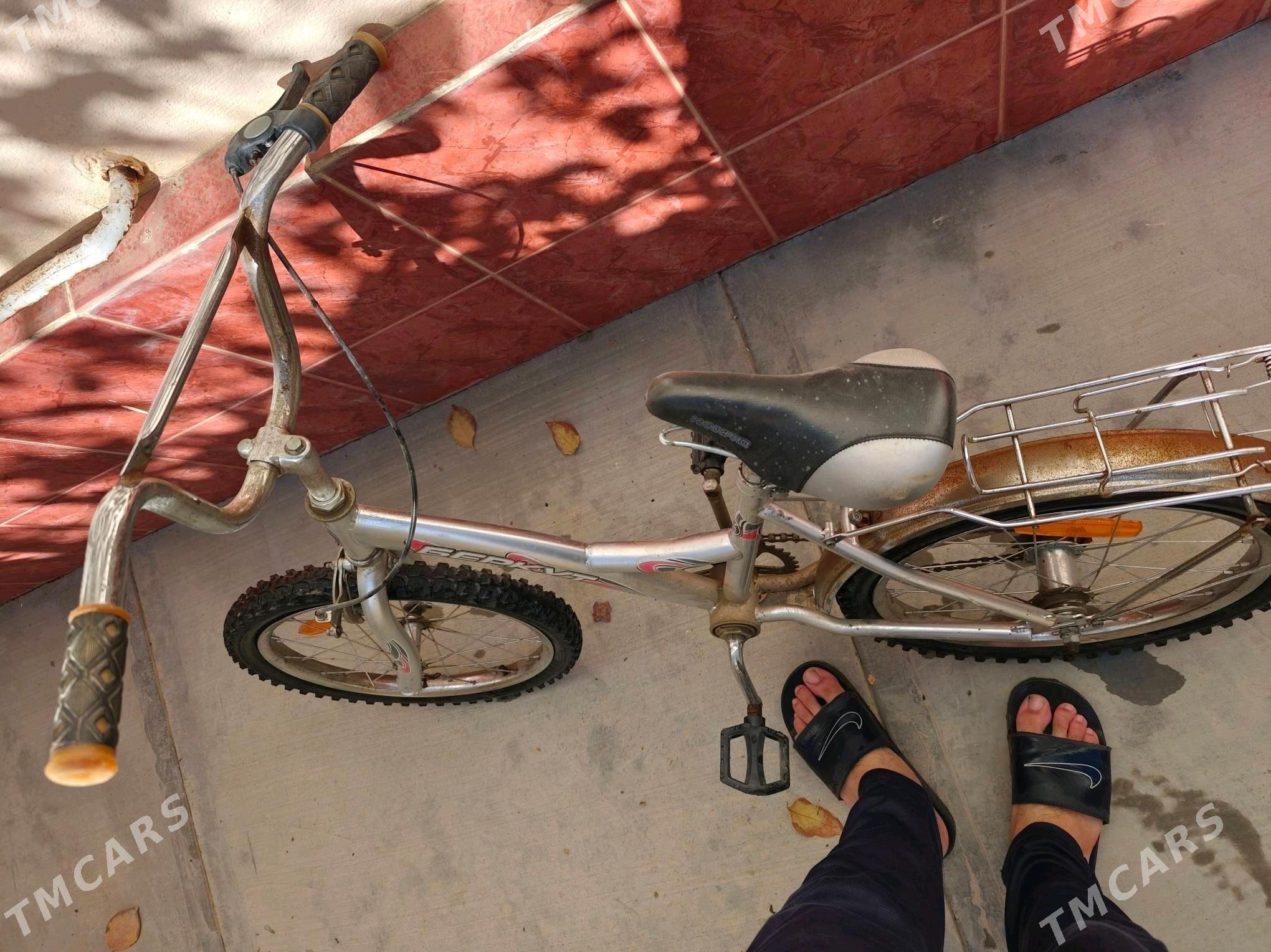 tigir - Änew - img 2