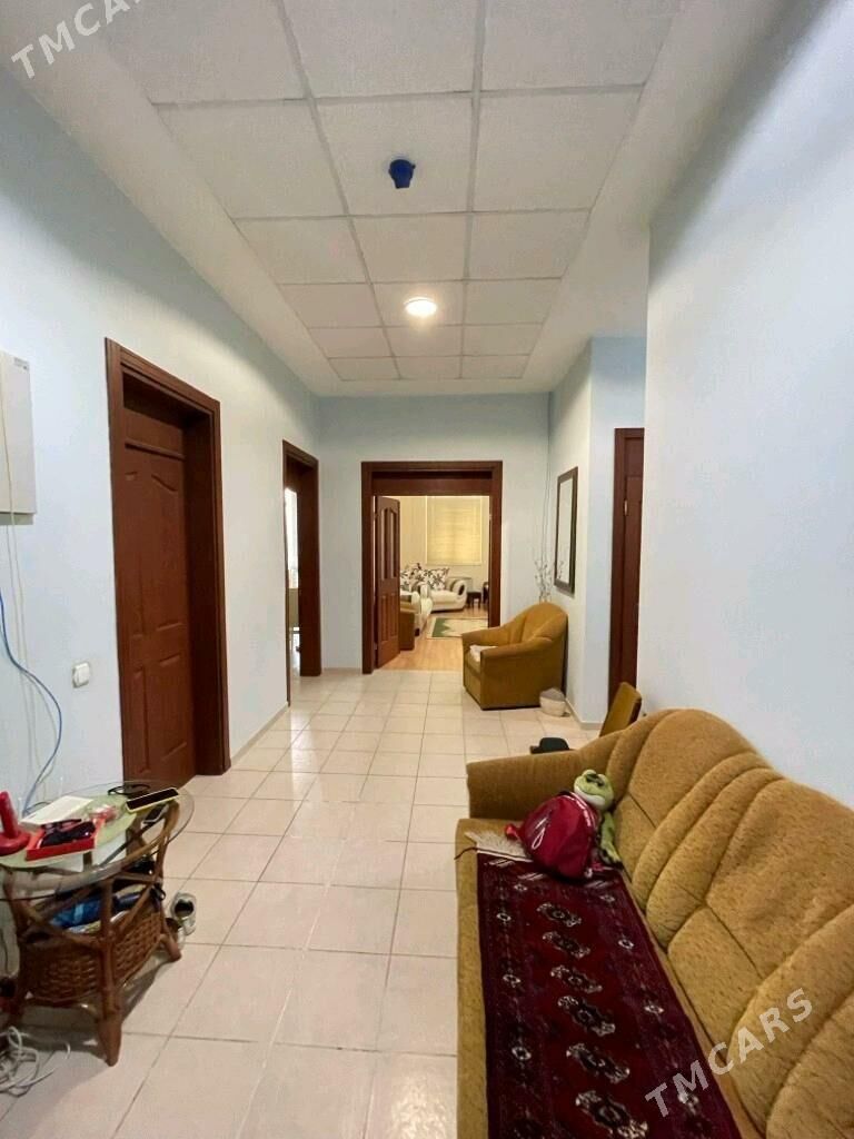 Gogol poluelitka 3 kom - Ашхабад - img 3