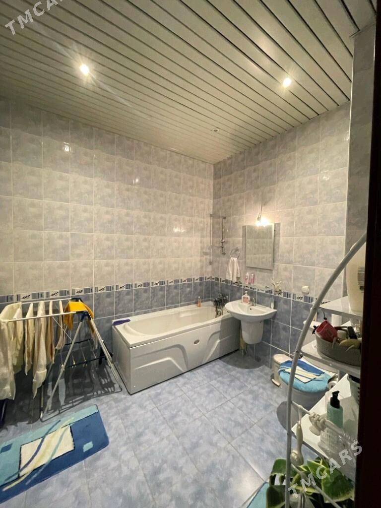 Gogol poluelitka 3 kom - Ашхабад - img 6