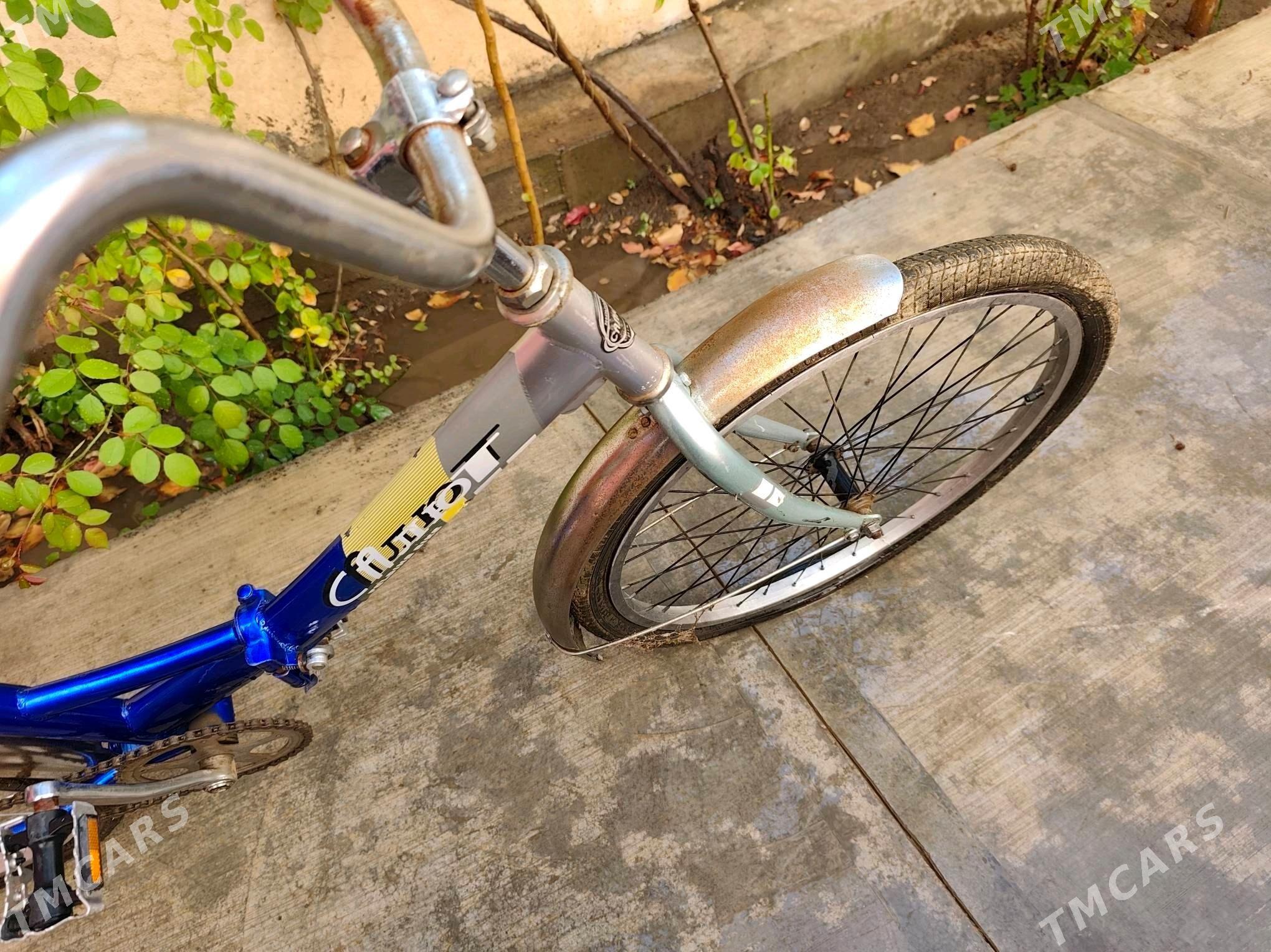 tigir - Änew - img 4