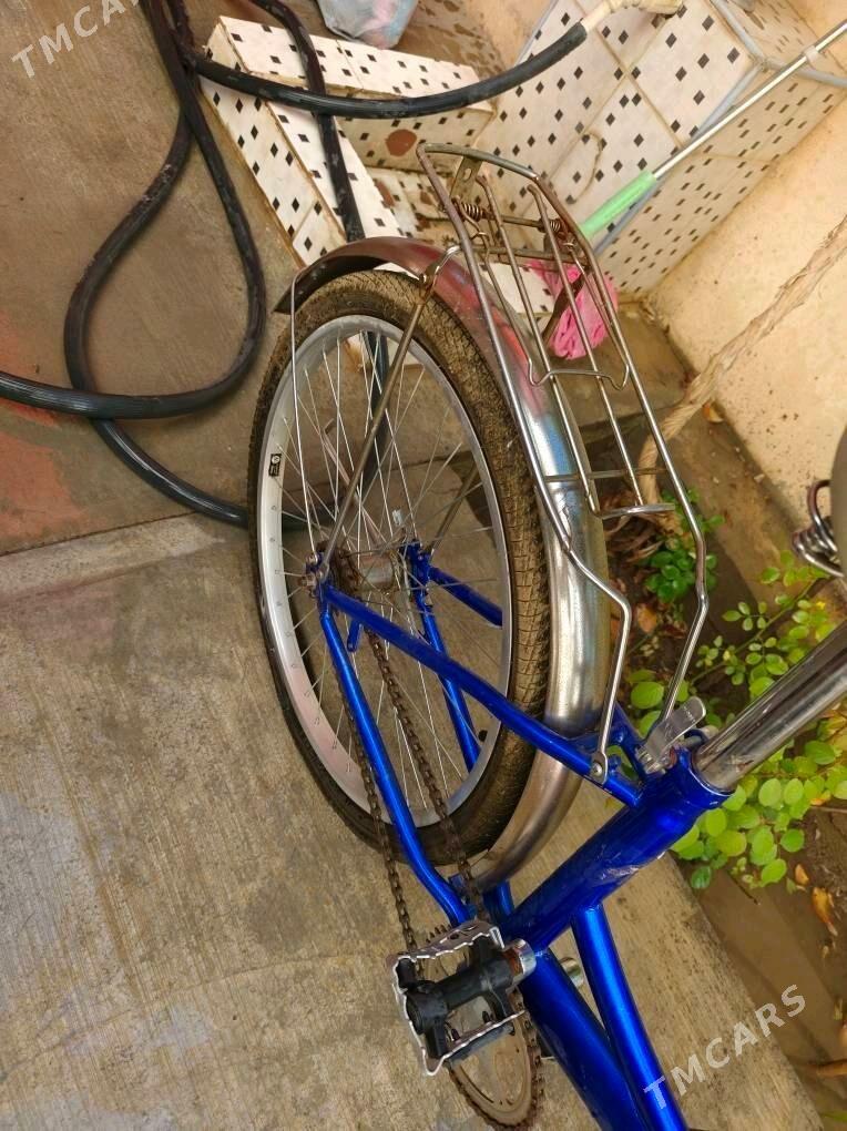 tigir - Änew - img 2