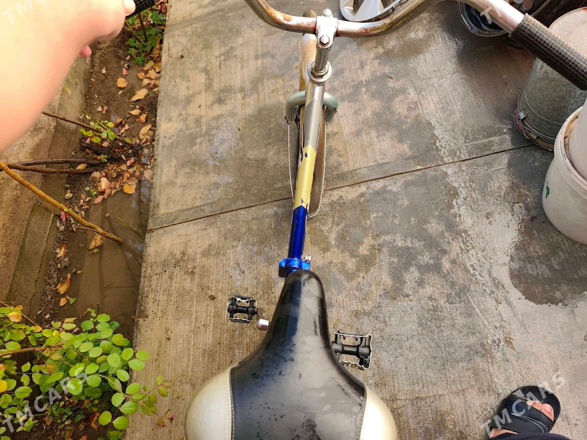 tigir - Änew - img 5