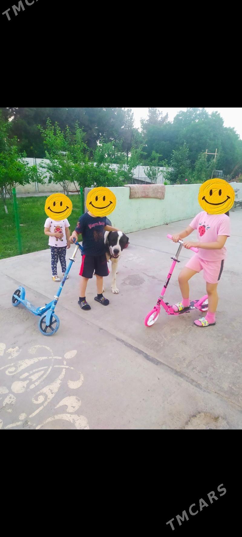 Samokatlar - Arkadag - img 2