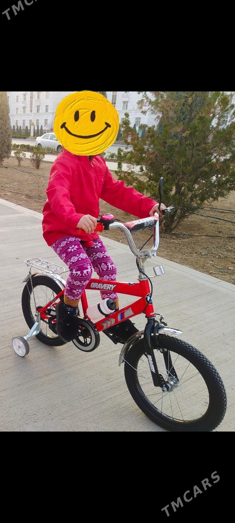 Tigir - Gagarin köç, köne Howa menzili - img 1