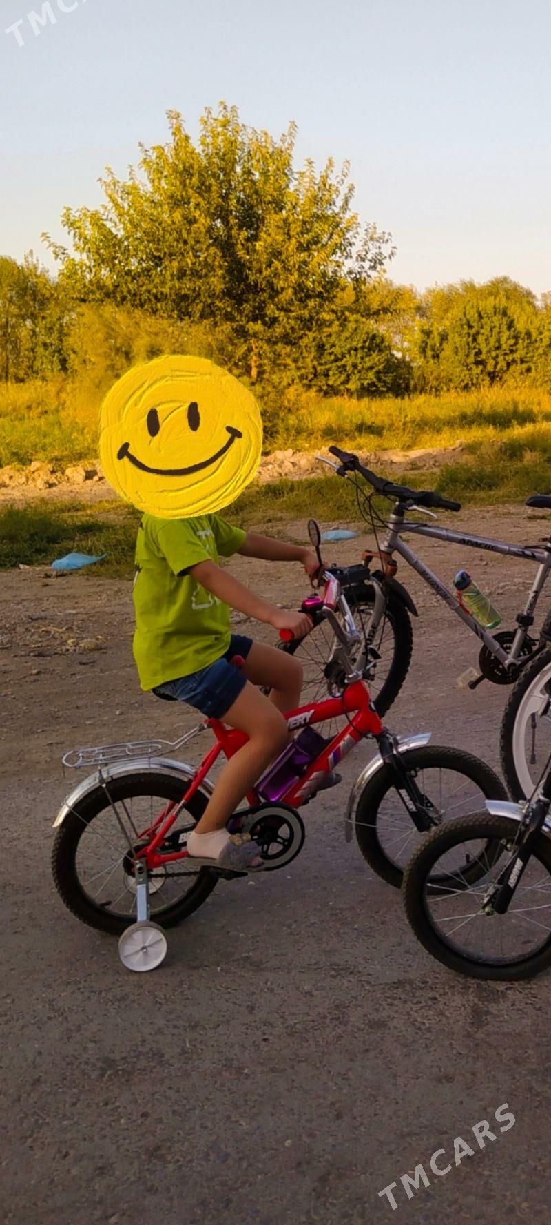 Tigir - Gagarin köç, köne Howa menzili - img 2