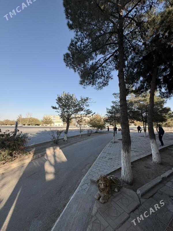 Arenda yer - Büzmeýin - img 2