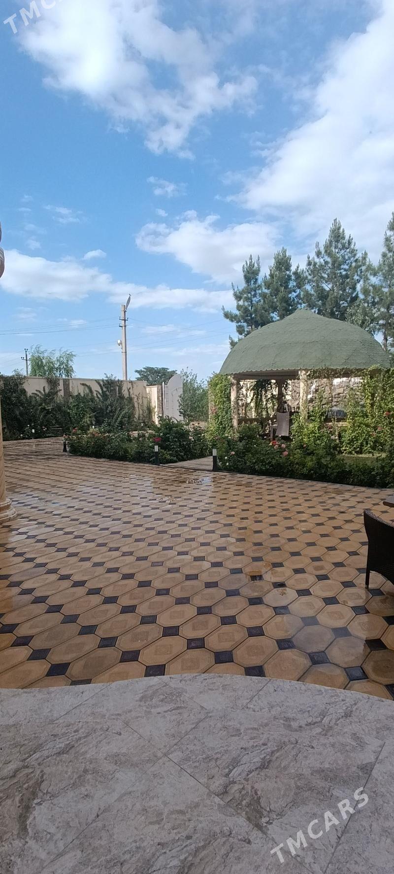 Arenda yanbas plan kotejj - Ýanbaş - img 2