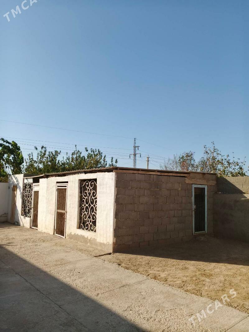 satlyk jay jebel - Джебел - img 3