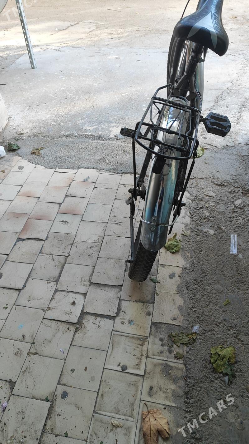 weloseped - Ашхабад - img 2