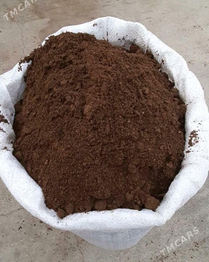 MITI DERS SEMENT ŞEBIL GRAMASA - Arzuw - img 8