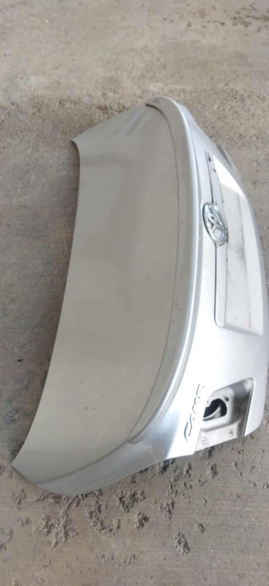 Bagaž öküz kelle 750 TMT - Aşgabat - img 2