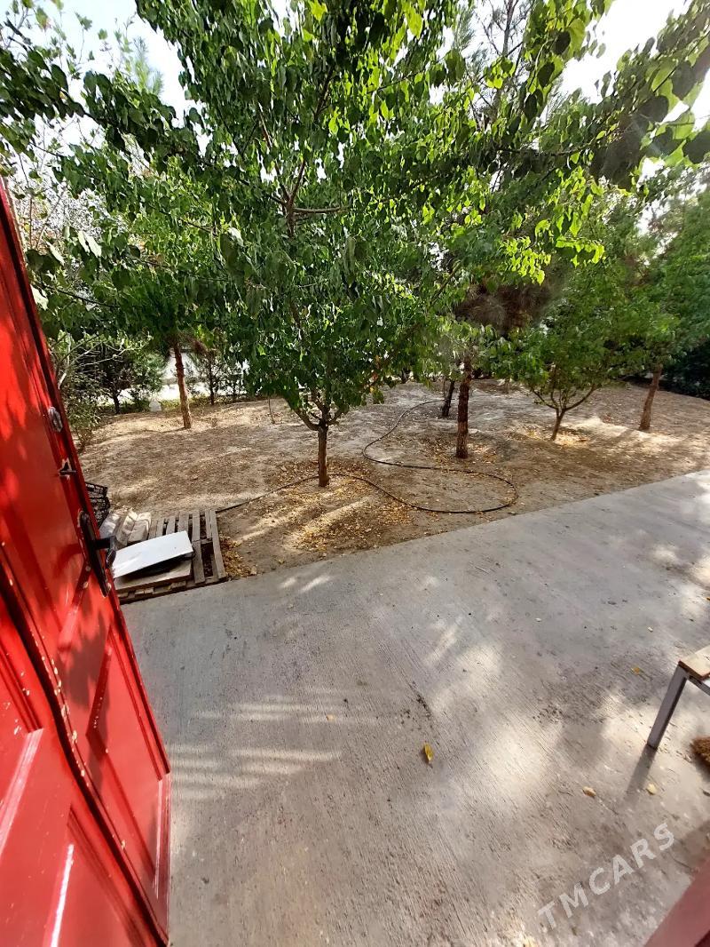 Goudan A satlyk jay - Гаудан "А" - img 2