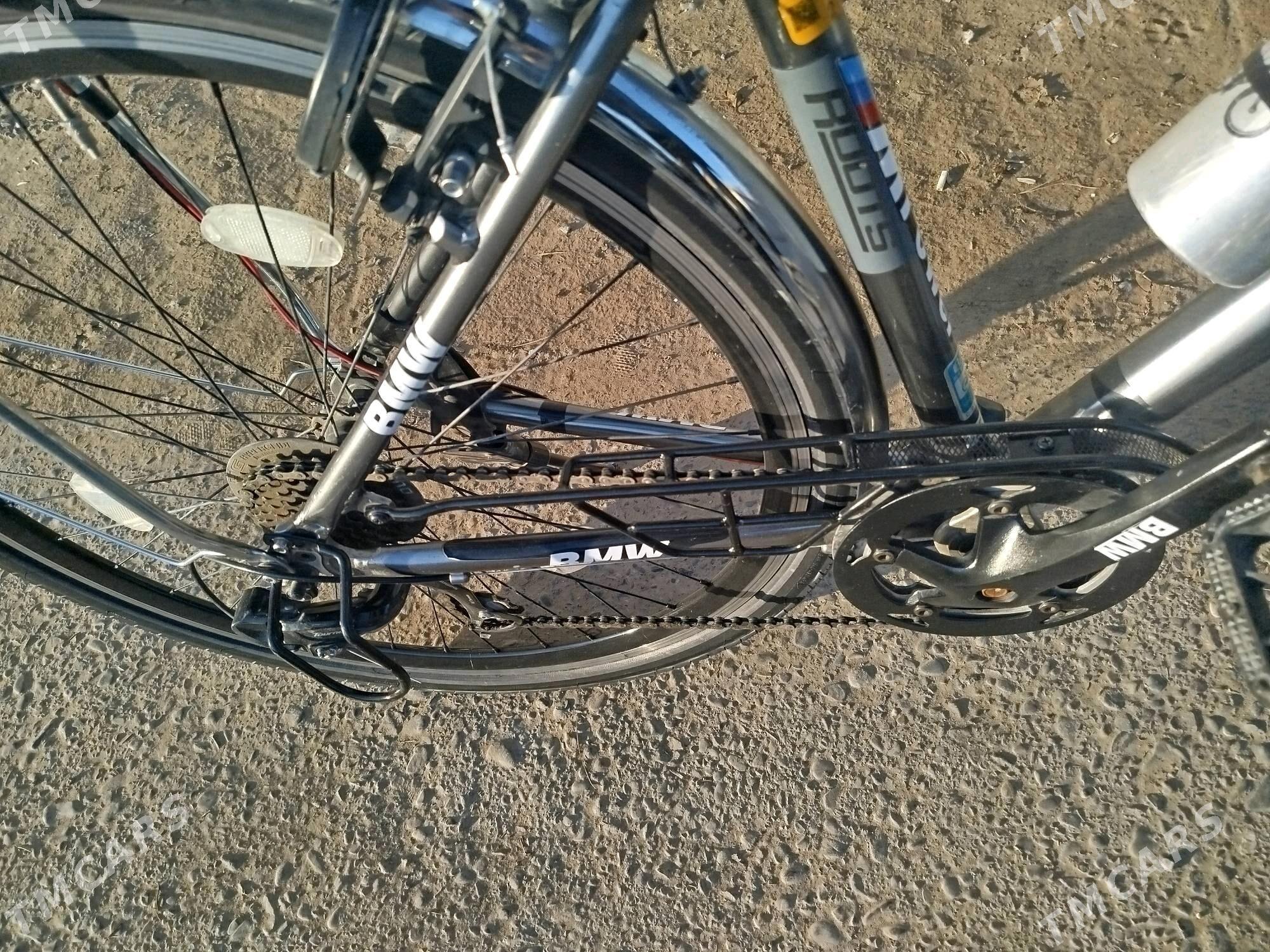 welik 27 yaponski - Sakarçäge - img 4