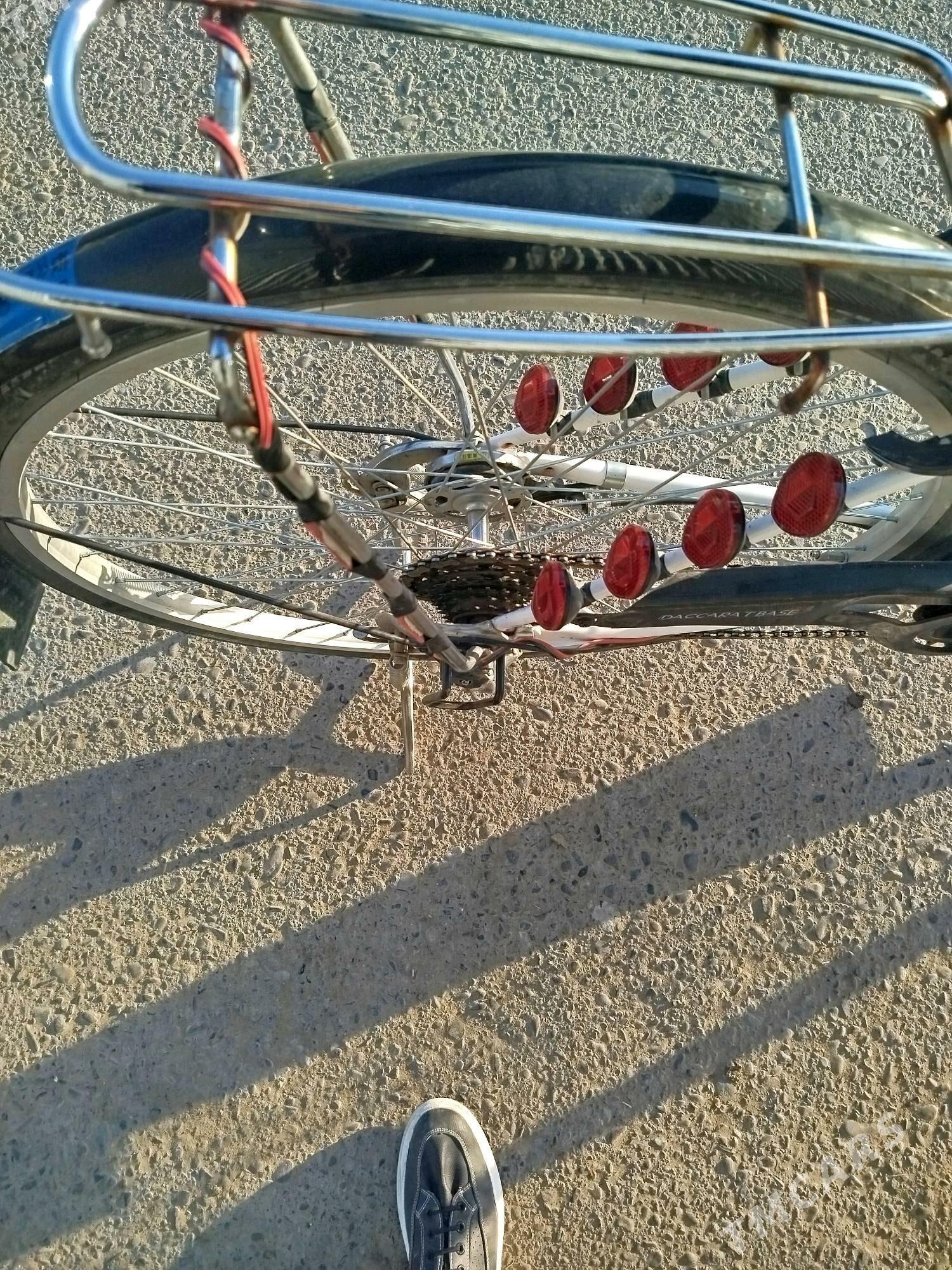 welik 27 - Sakarçäge - img 2