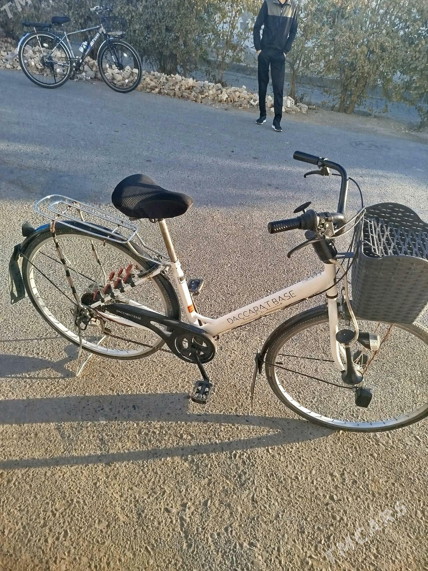 welik 27 - Sakarçäge - img 5