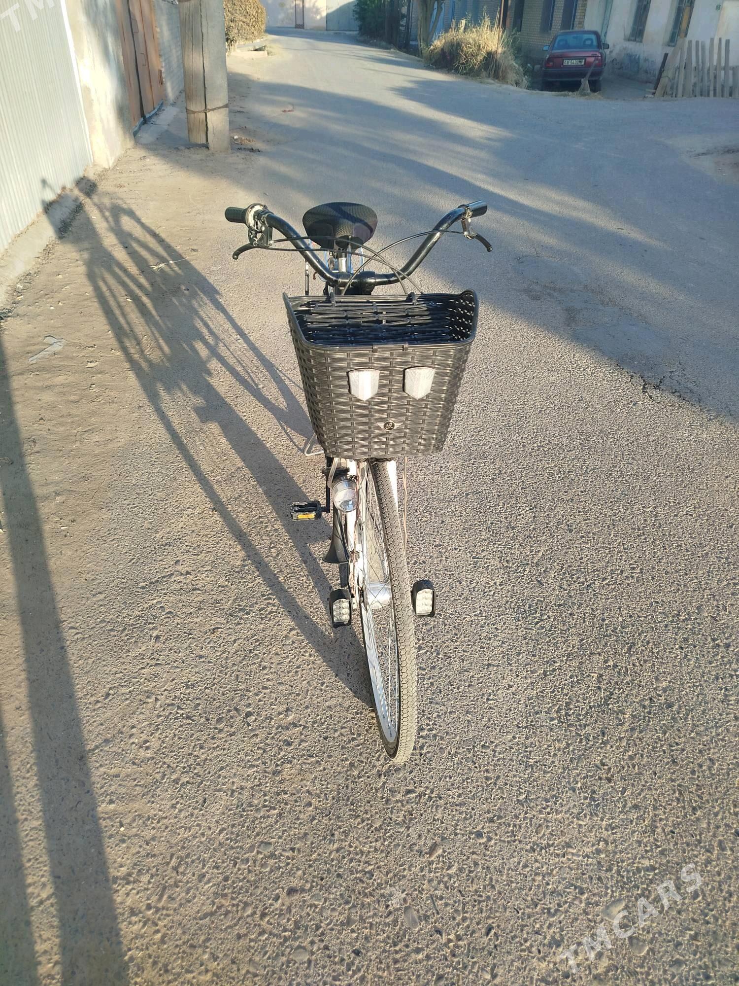 welik 27 - Sakarçäge - img 4