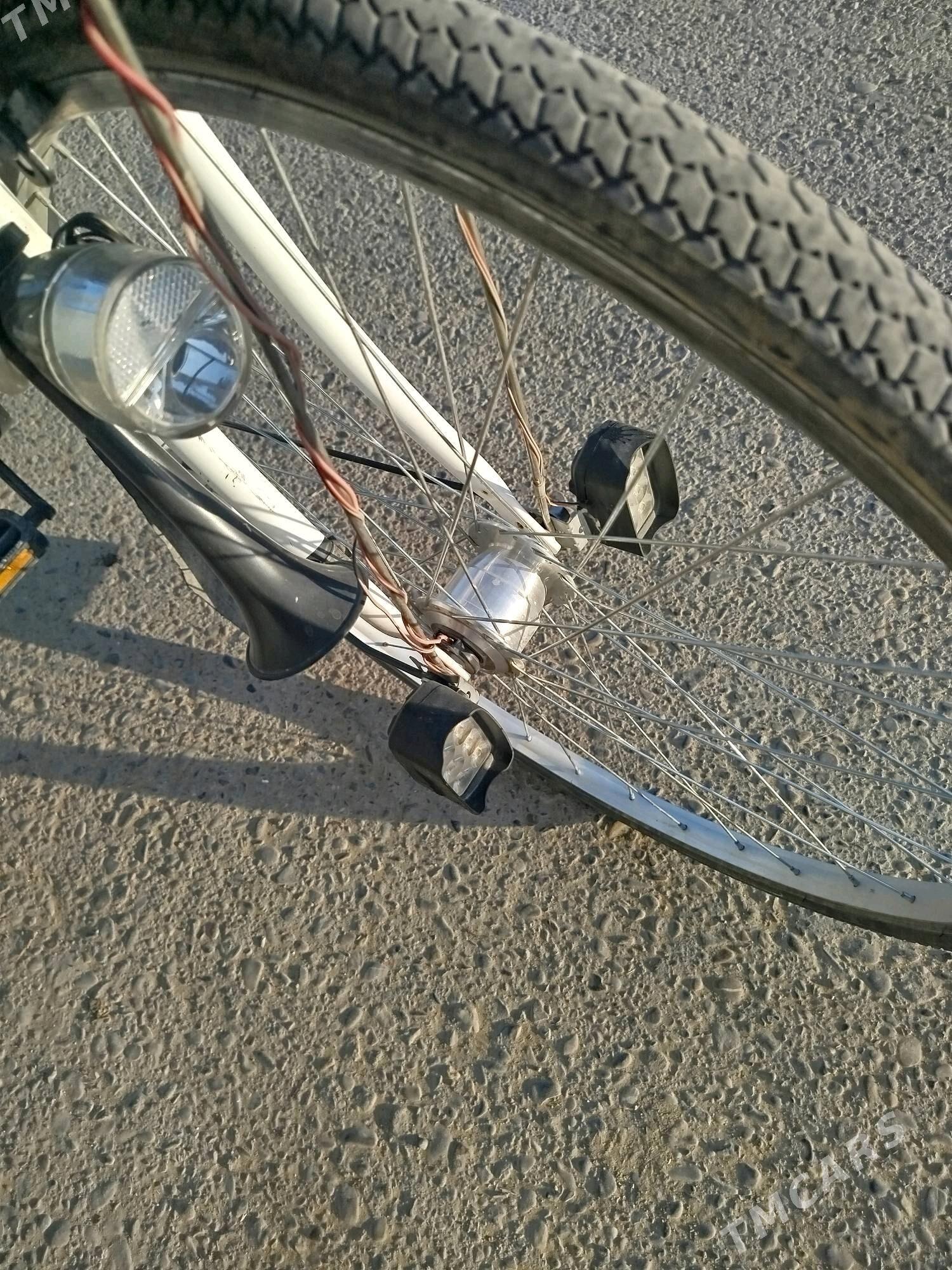 welik 27 - Sakarçäge - img 1