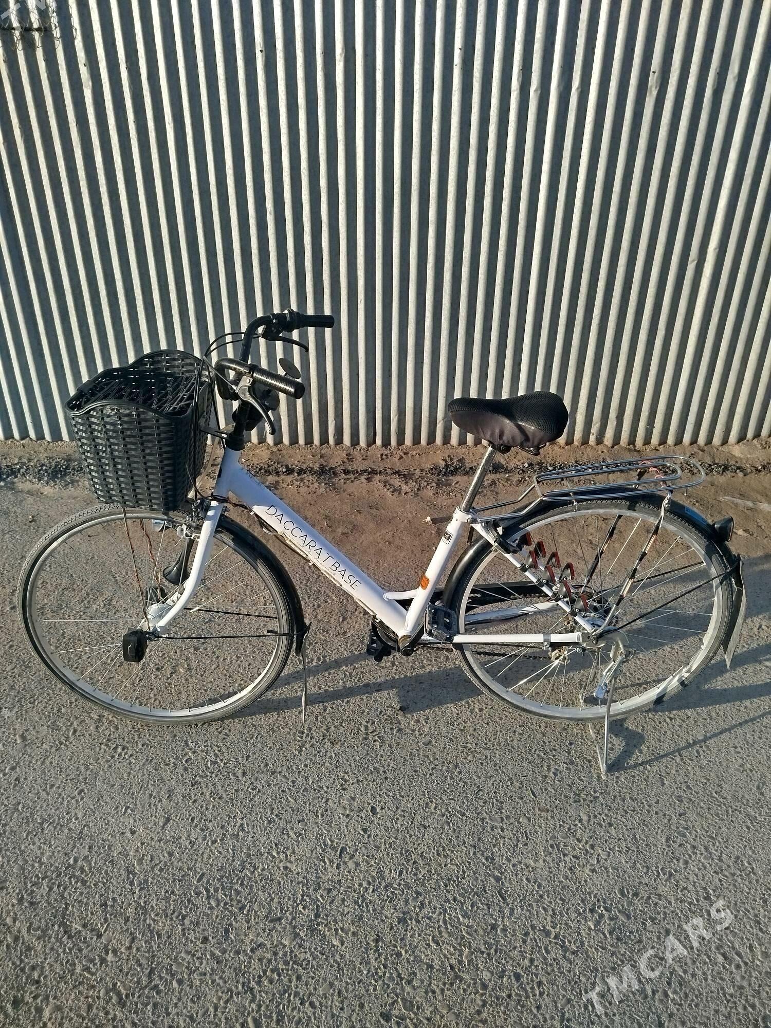 welik 27 - Sakarçäge - img 3