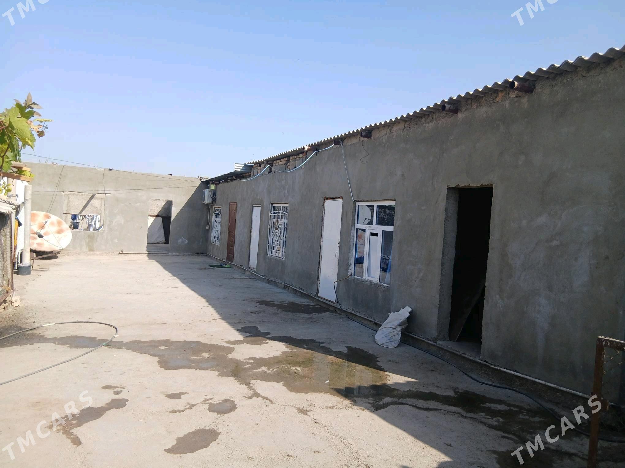 bagyr jaý ýer - Bagyr - img 2