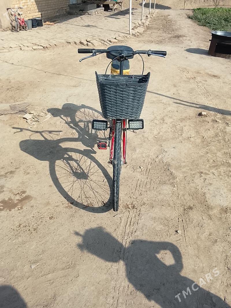 Welsoped - Туркменгала - img 4