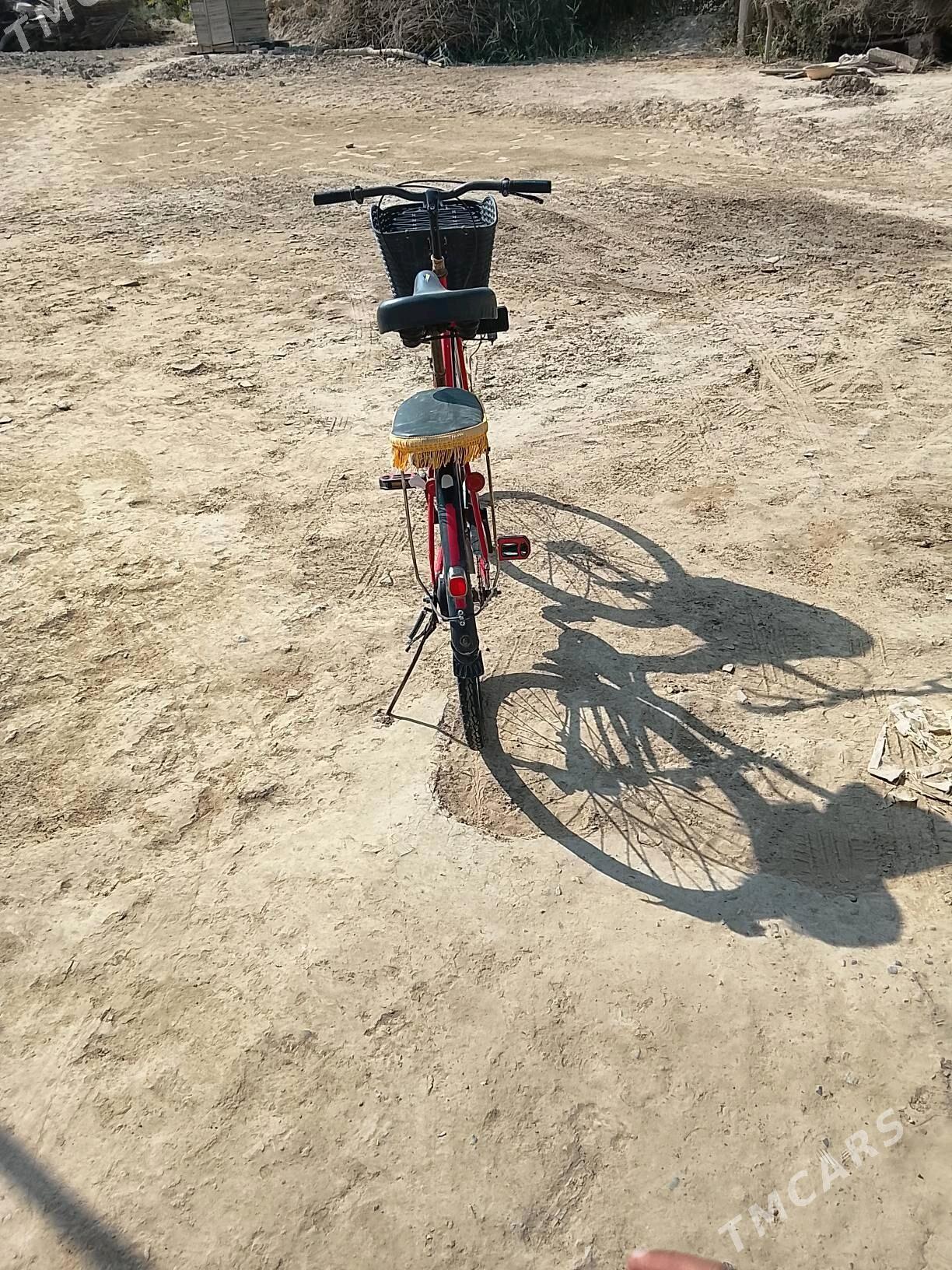 Welsoped - Туркменгала - img 3