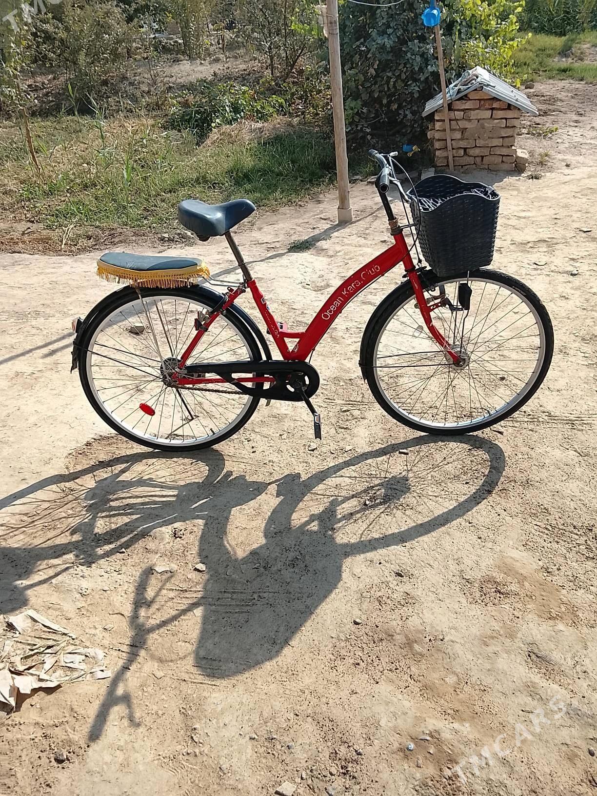 Welsoped - Туркменгала - img 1