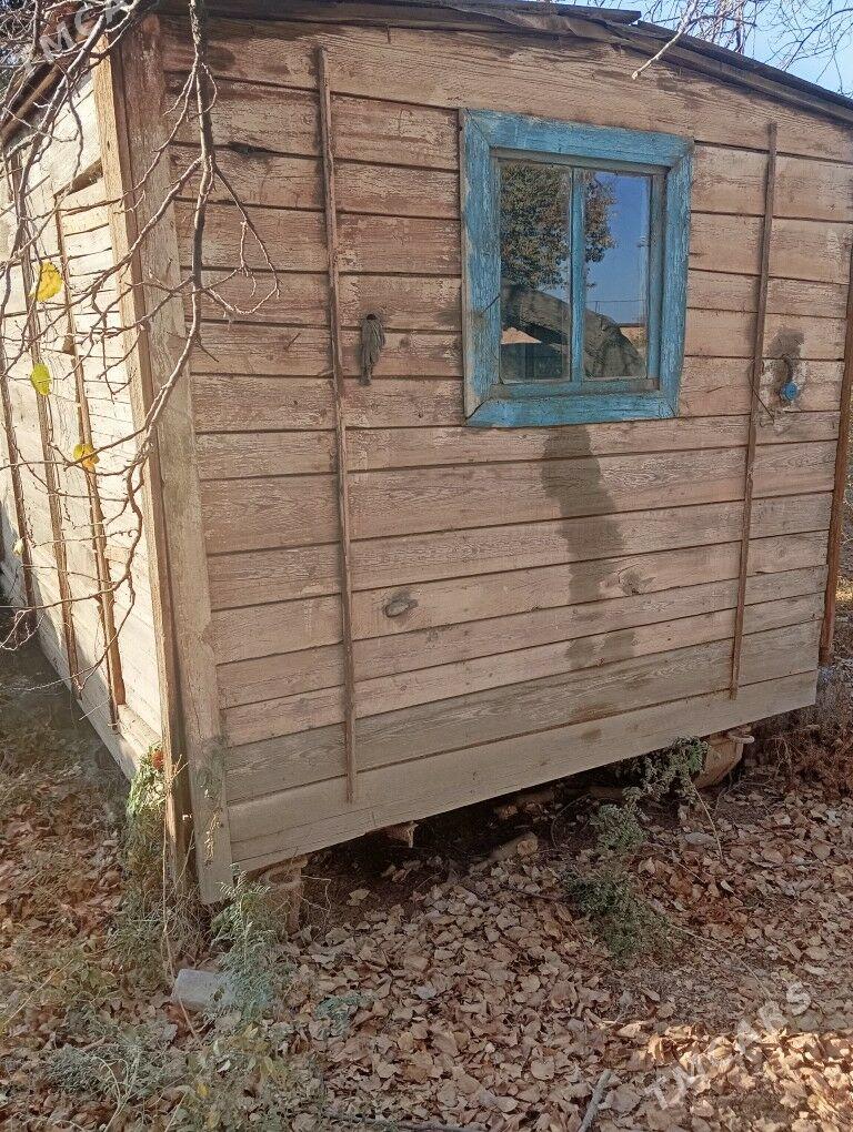 Butga jay - Саят - img 3