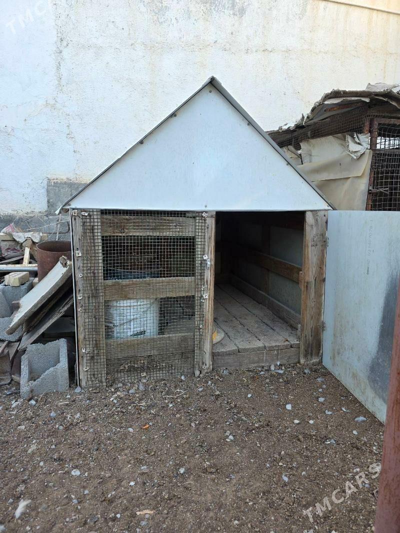 Ketek/Yatak - Анев - img 5