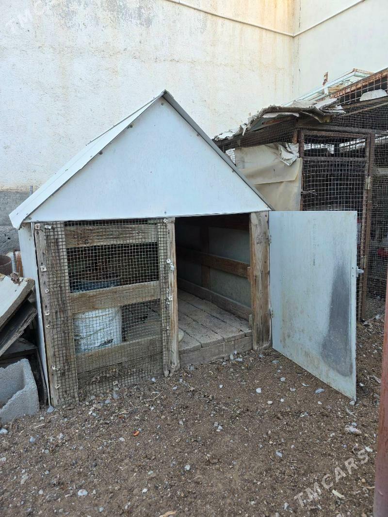 Ketek/Yatak - Анев - img 3