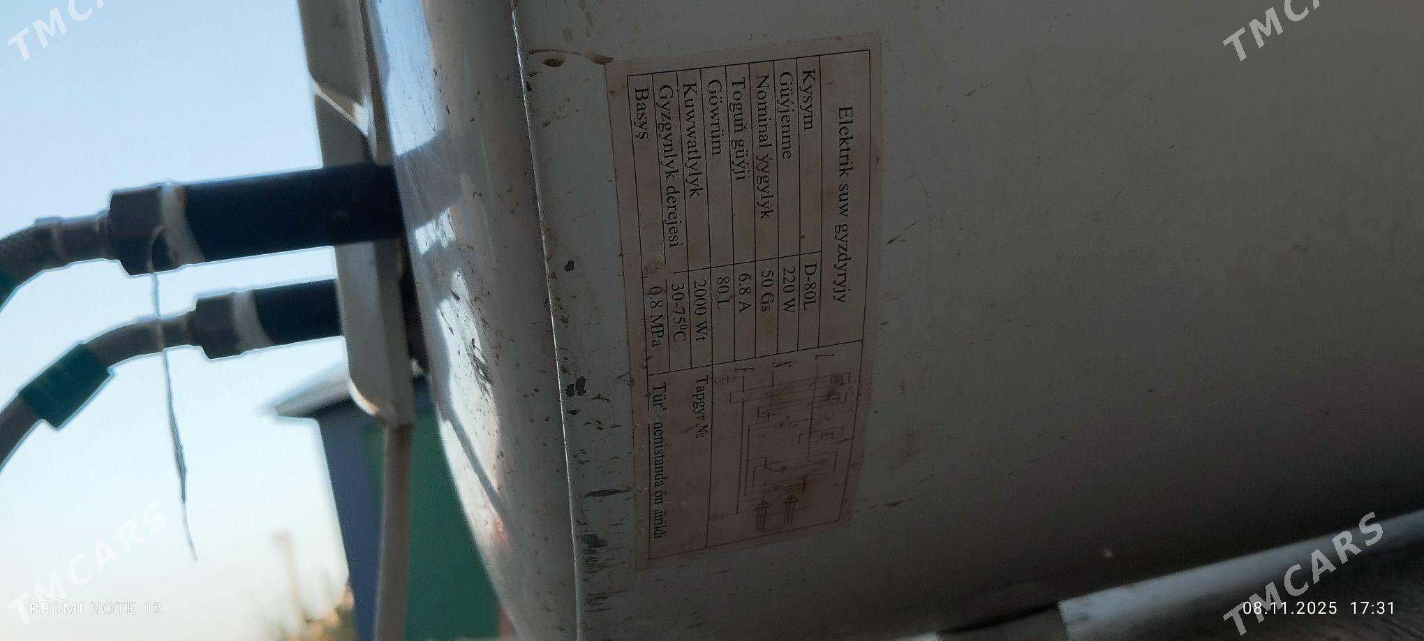 Ariston - Sakarçäge - img 3