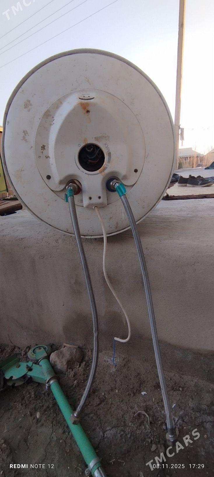 Ariston - Sakarçäge - img 5