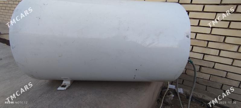 Ariston - Sakarçäge - img 6