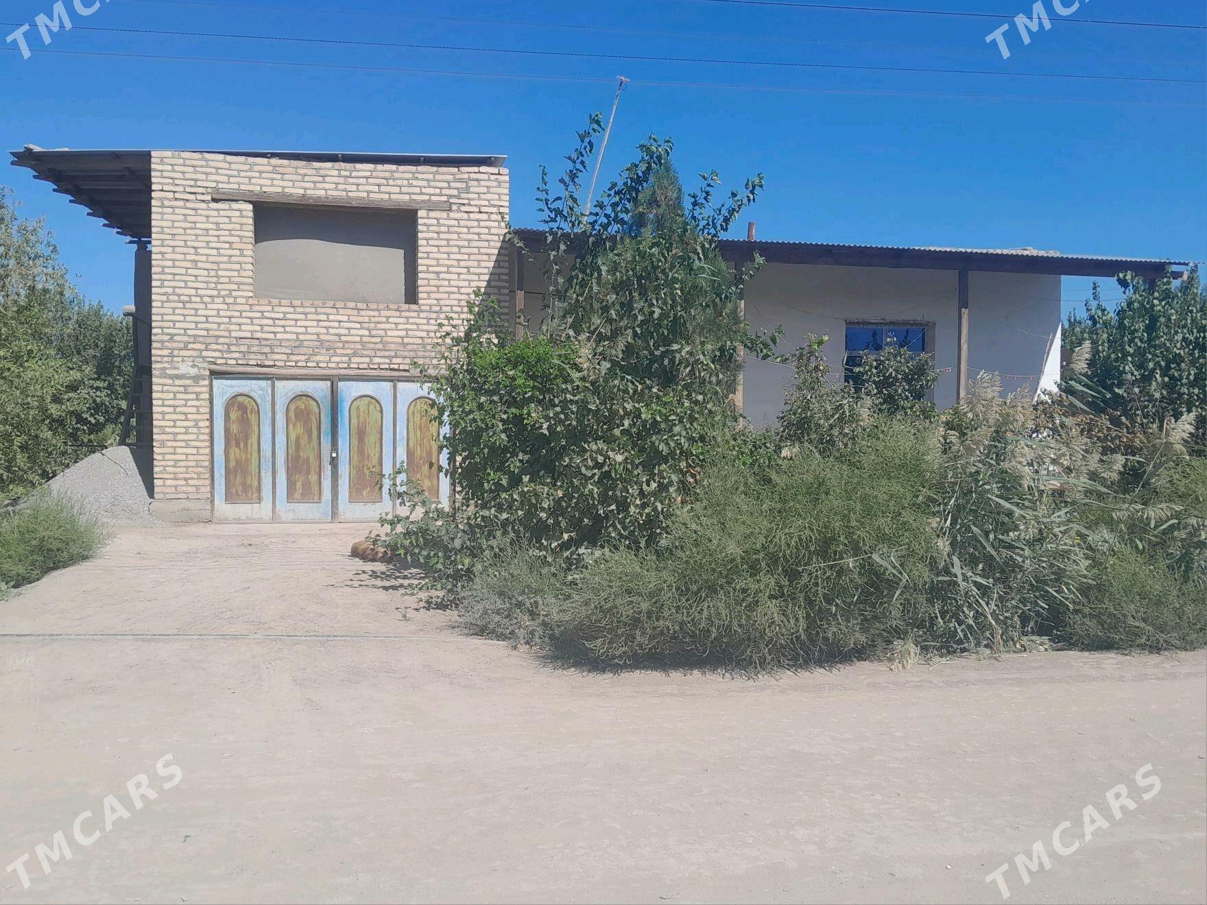 tayar jay - Gurbansoltan Eje - img 6