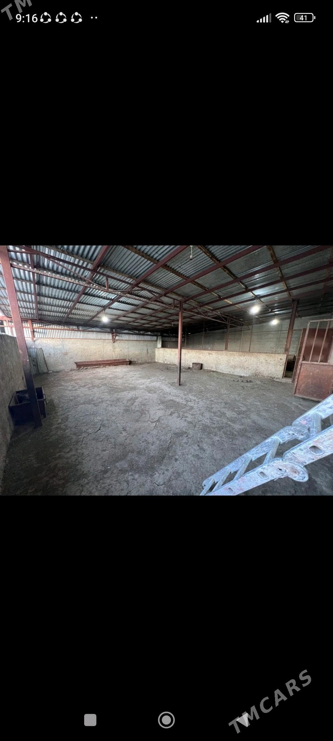 ferma we jay - Гызыларбат - img 8