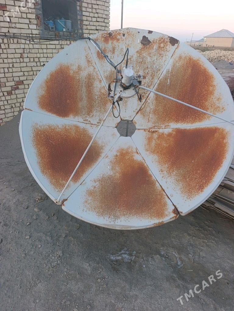 uly antena - Mary - img 3