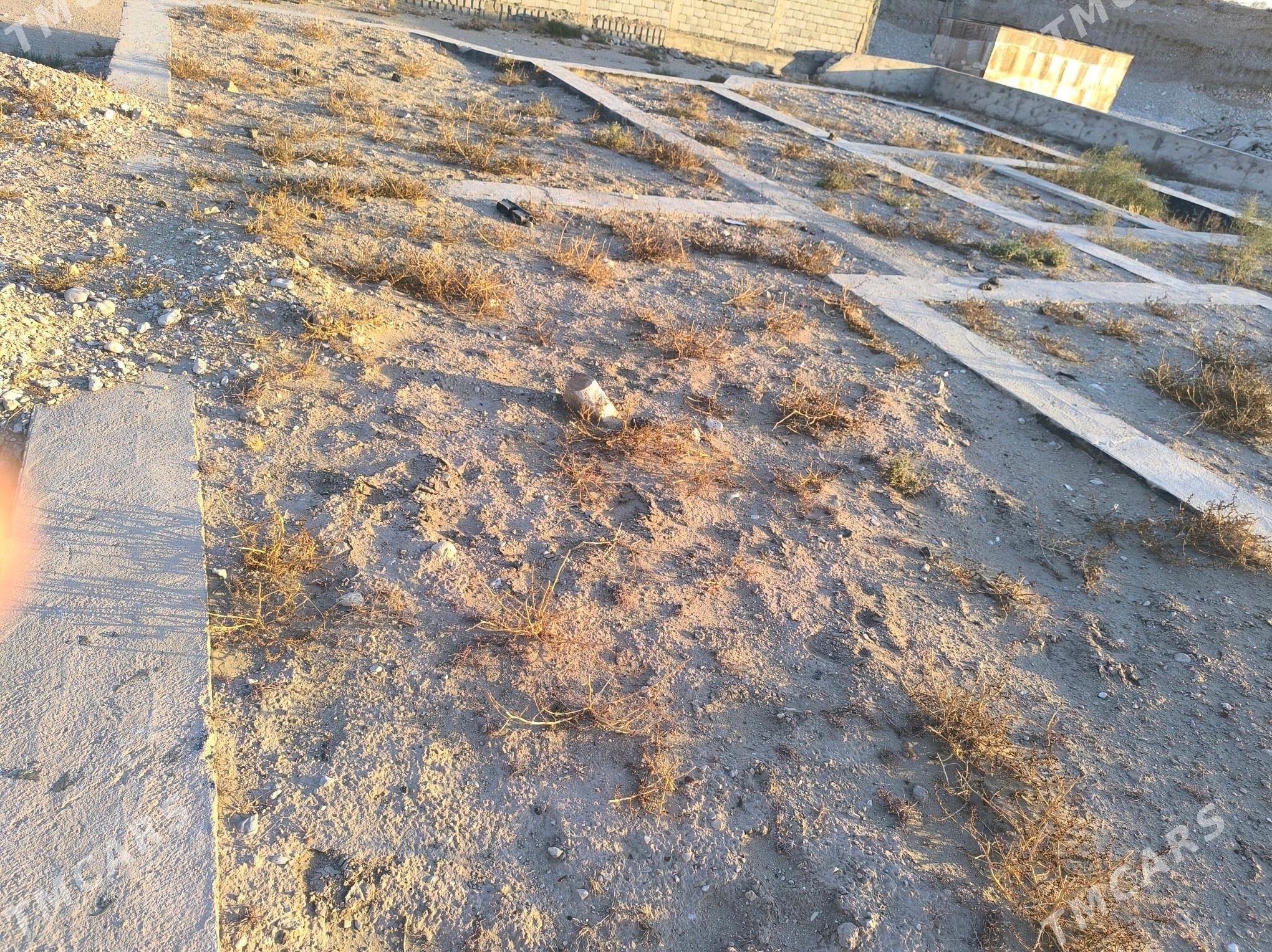 jay satlyk - Balkanabat - img 2