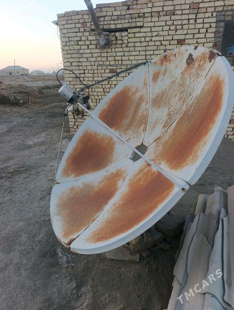 uly antena - Mary - img 1