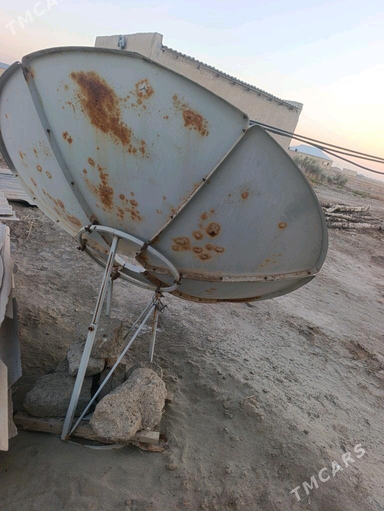 uly antena - Mary - img 2