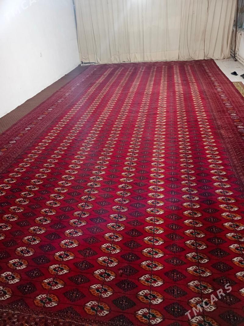 el haly - Бахарден - img 2