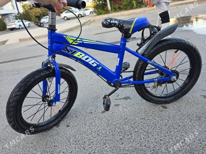 Çaga Tigr - Гуртли - img 2