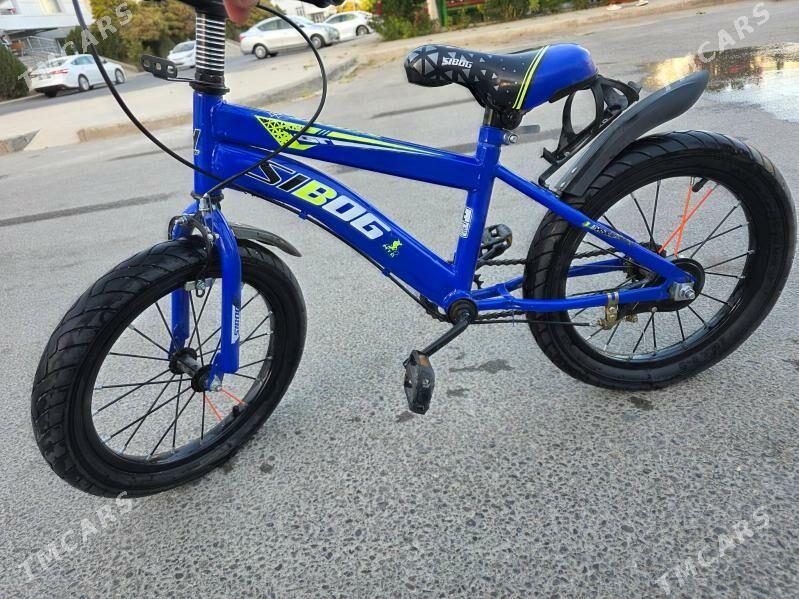 Çaga Tigr - Гуртли - img 1