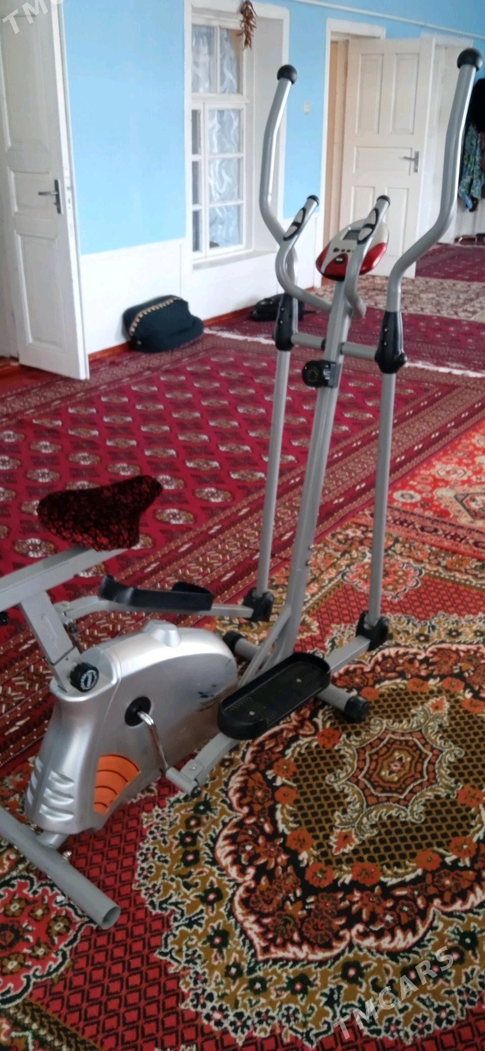 Tyrnažorny lyja tigr - Bäherden - img 3