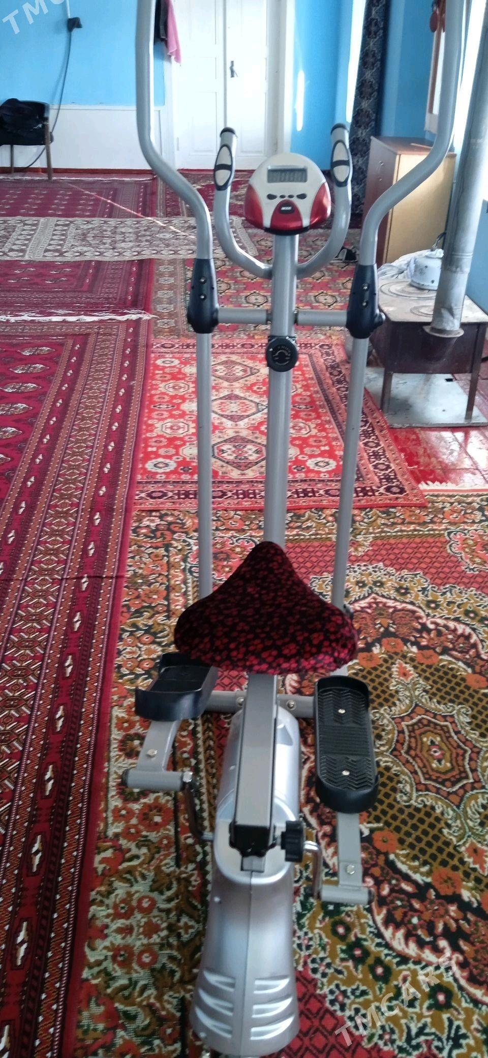 Tyrnažorny lyja tigr - Bäherden - img 2