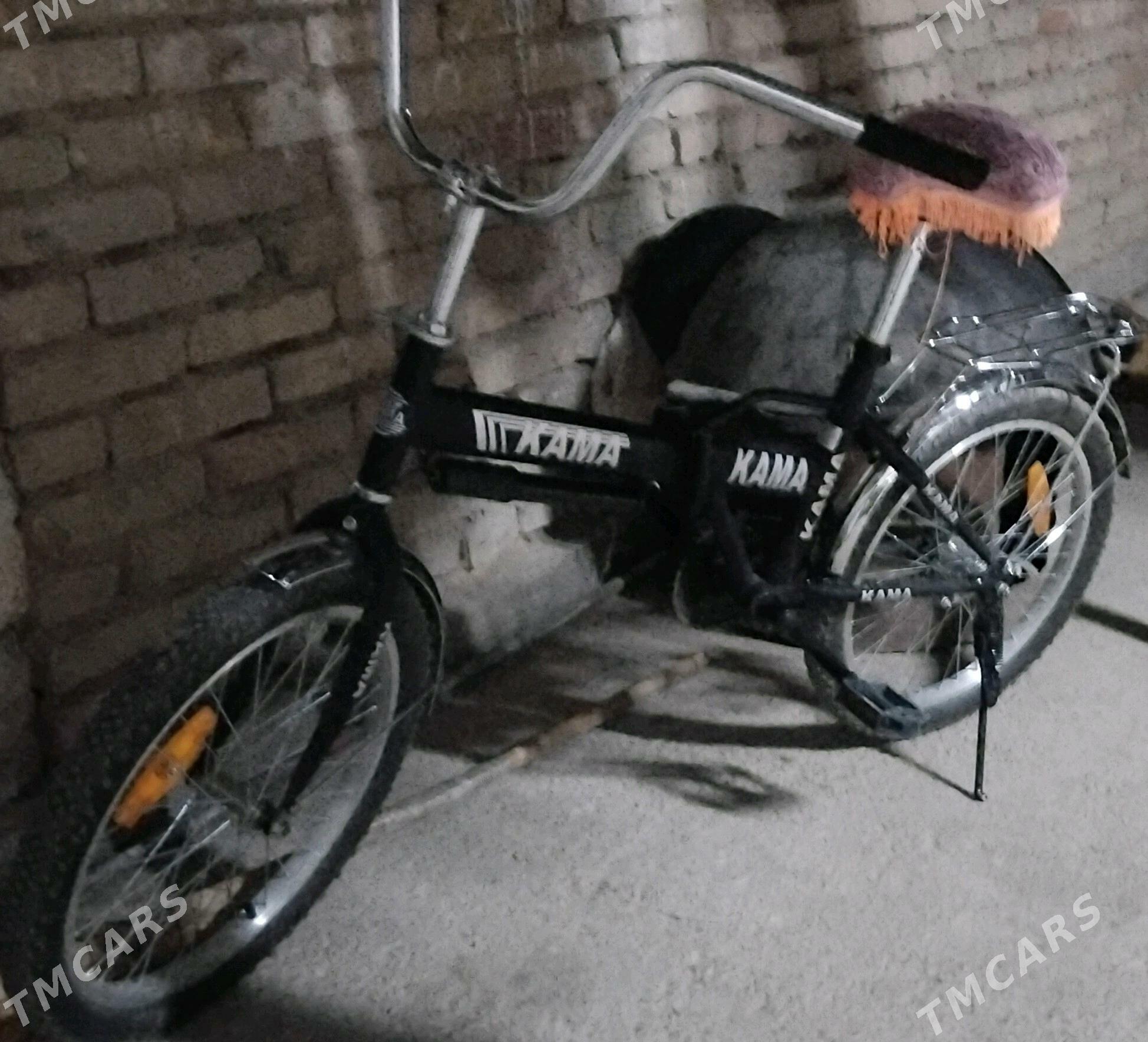 Kama tigir - Gurtly - img 2