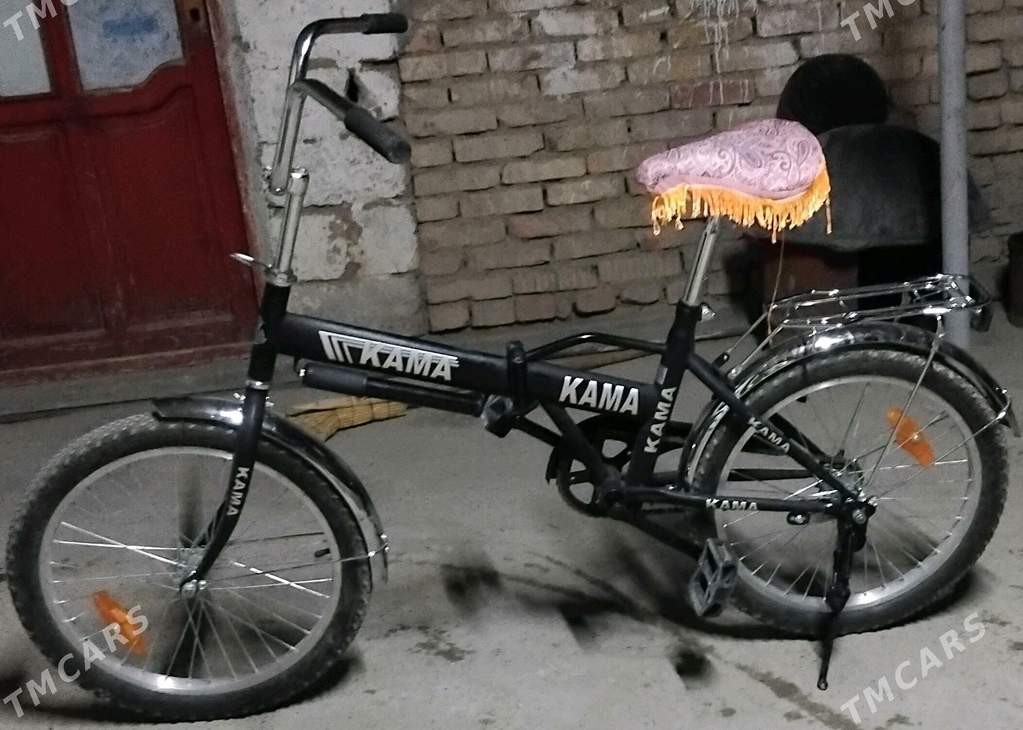 Kama tigir - Gurtly - img 1