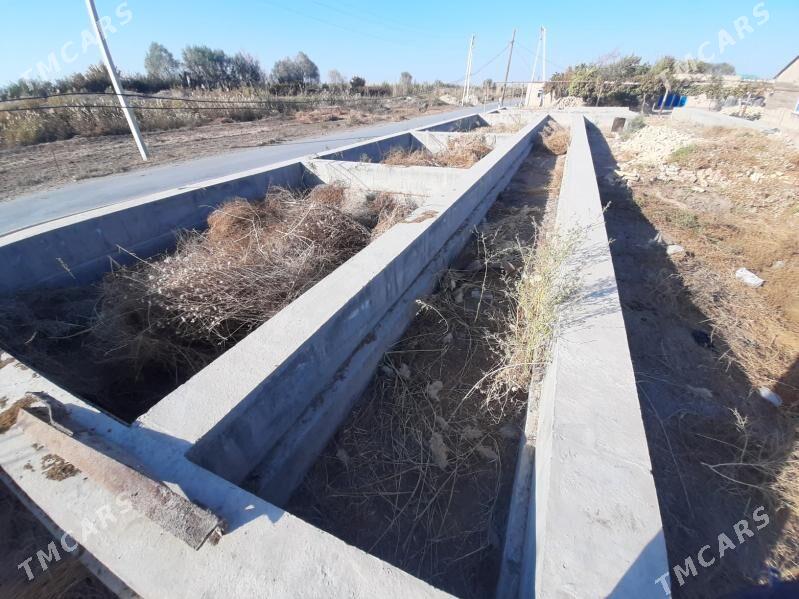 SATLYK JAY - Türkmenabat - img 3